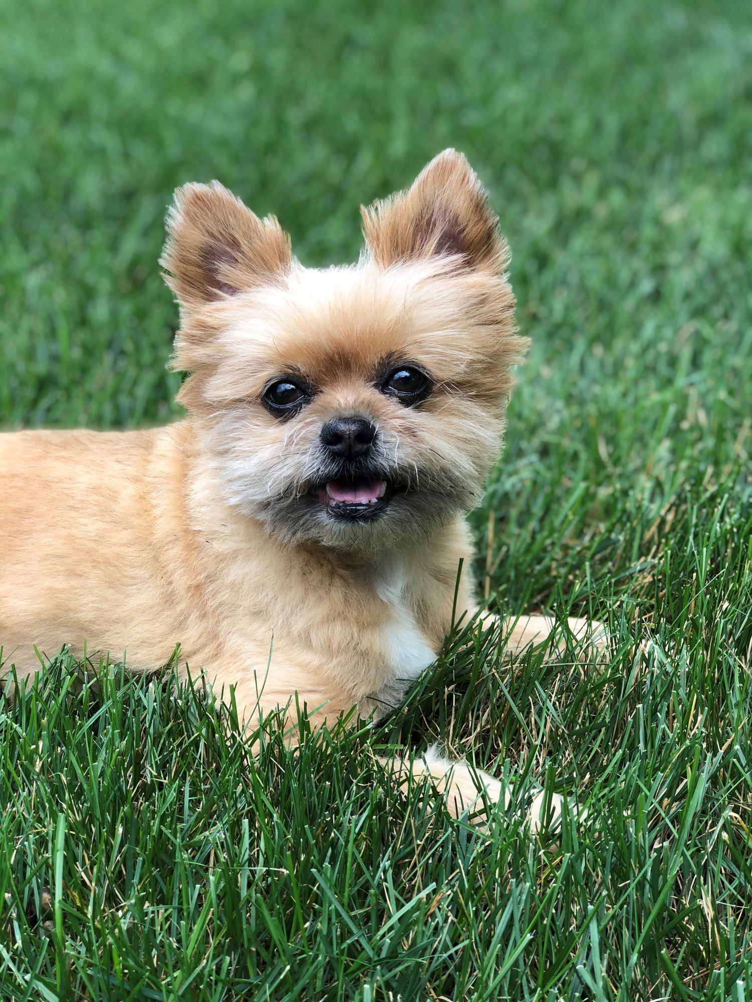 A Fuzzy Tribute to Winston