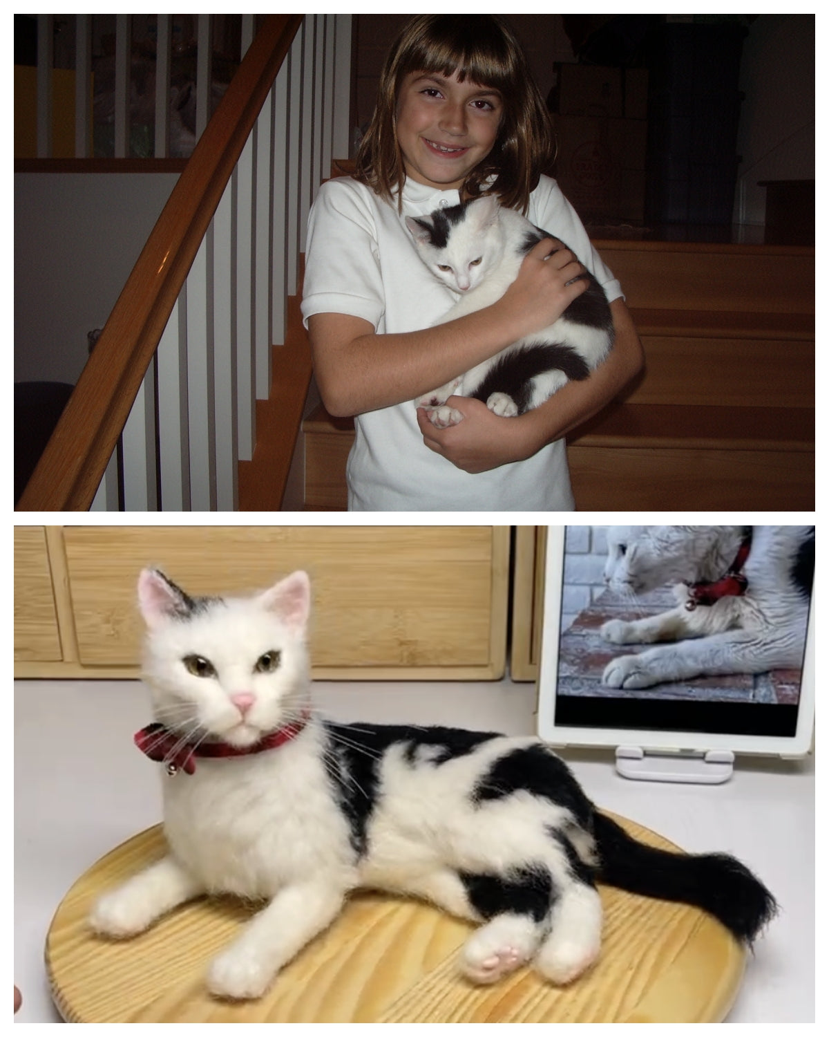 Preserving a Lifelong Bond: Creating a Wool Felting Portrait for Max