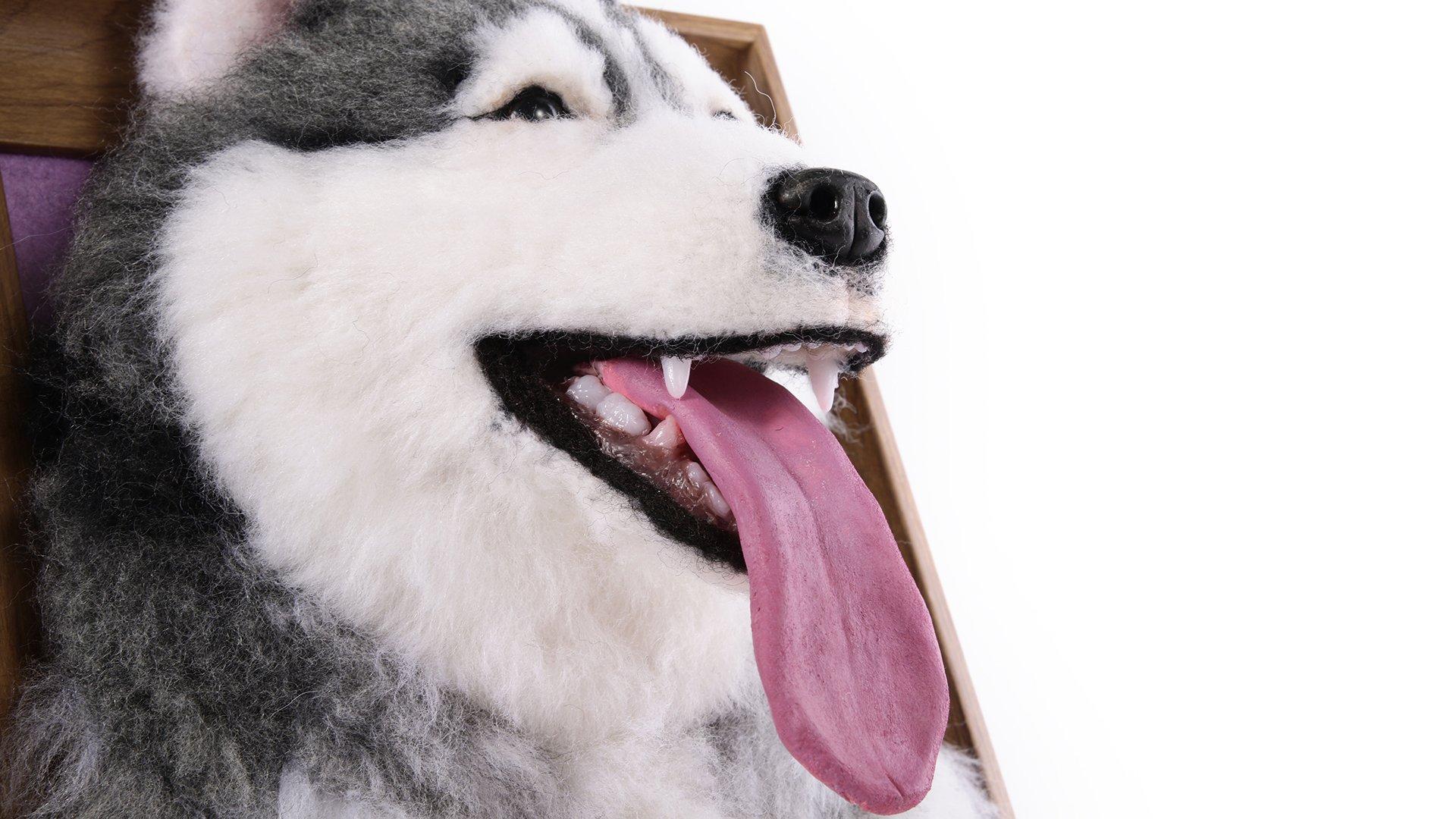 Framed Pet Portrait-Dog