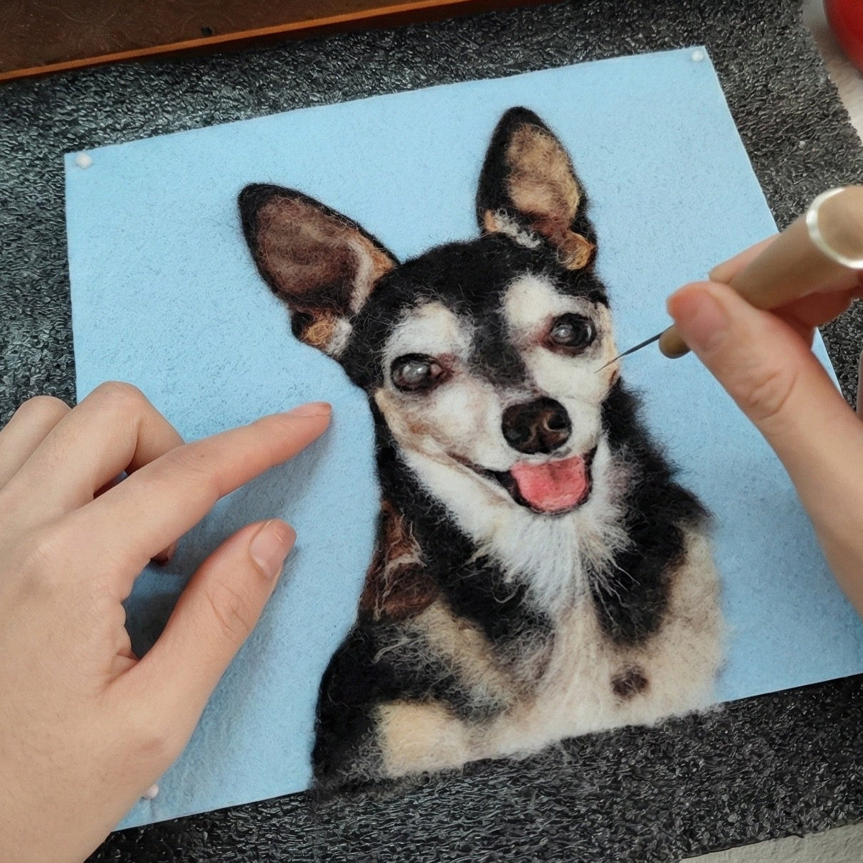 Wool-Painted Pet Portrait