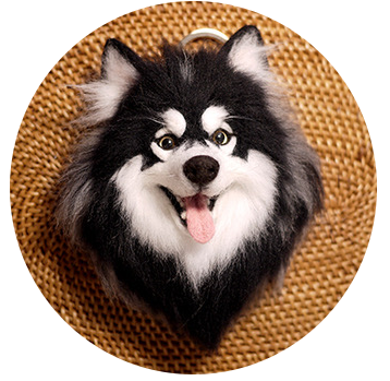 Dog ornaments