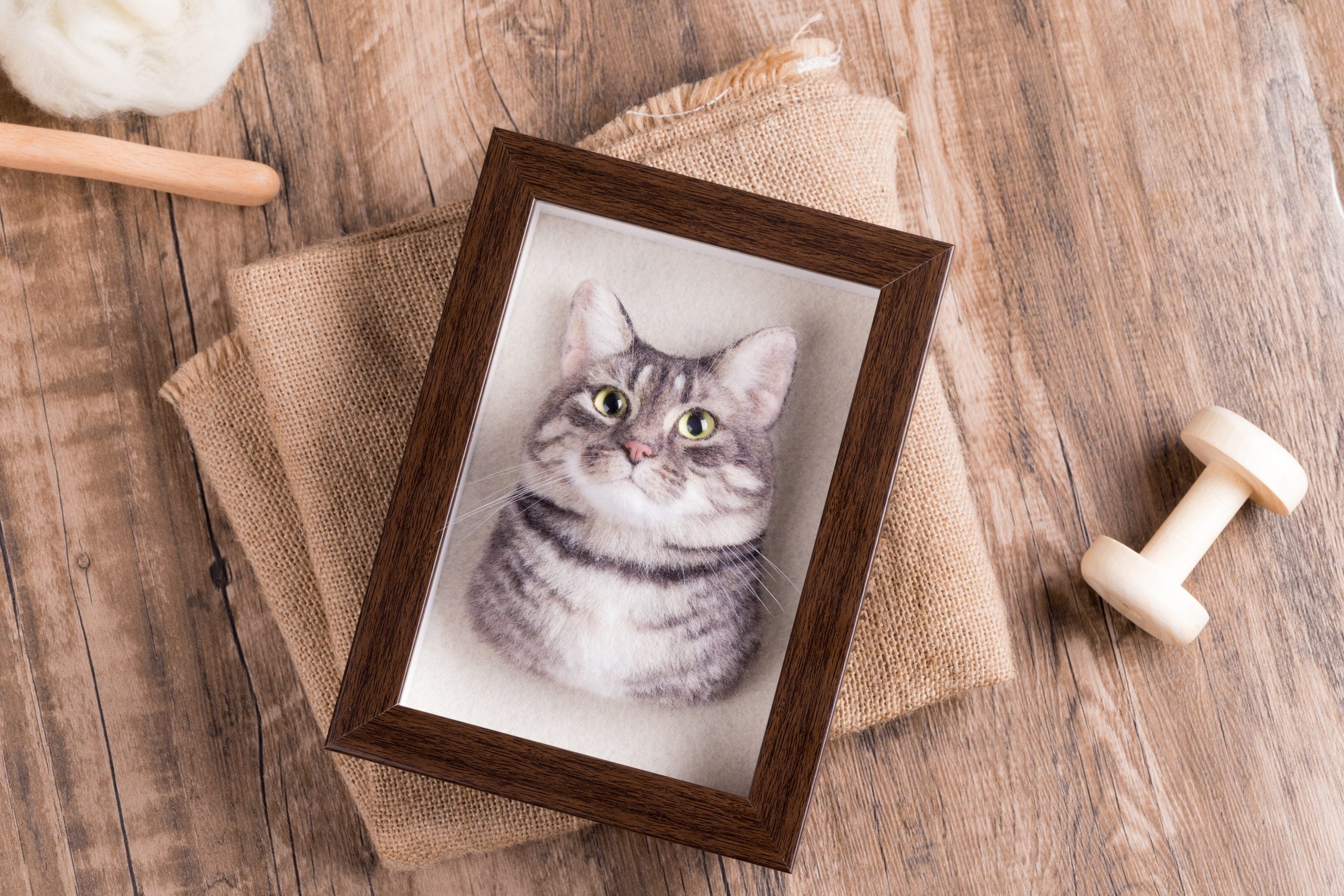 Felt Pet Portraits - Cat Portraits - Wool Portraits - Furry Friends - Forever popular Gifts