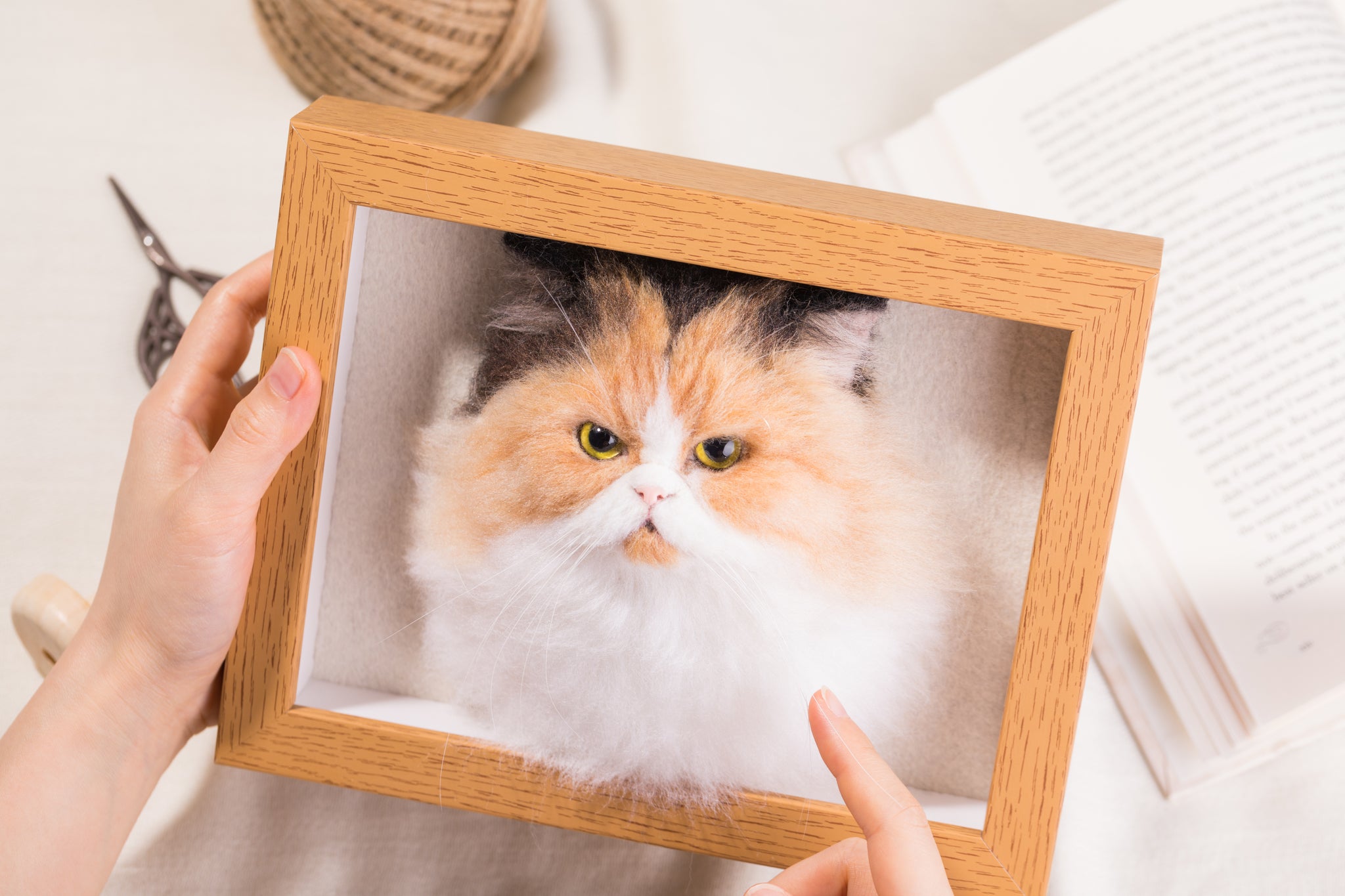 Framed Pet Portrait-Cat