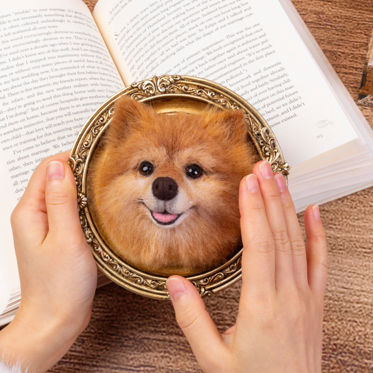Mini framed pet portrait review